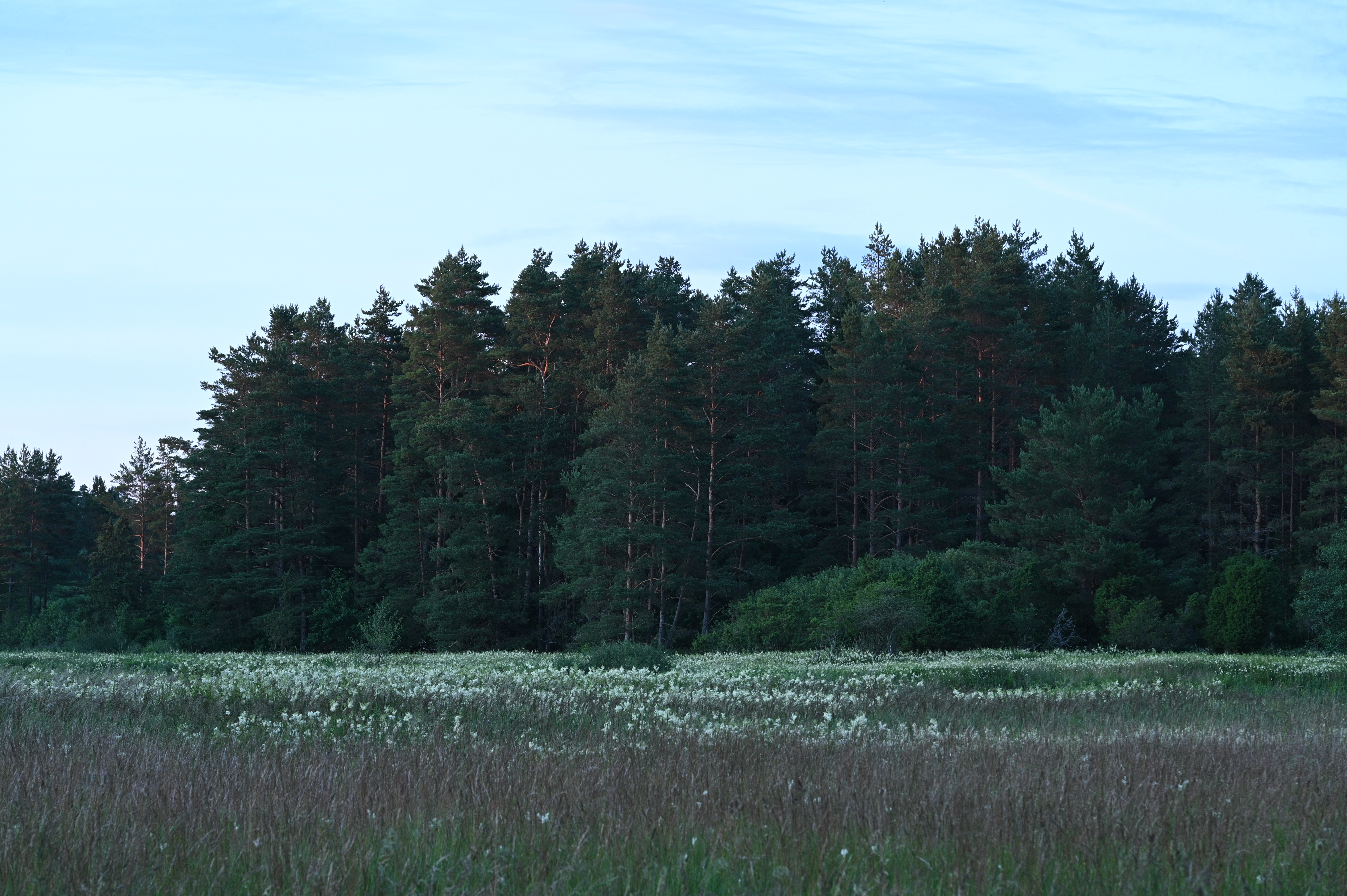 2025/07/09-14 - trip/DSC_0107.JPG